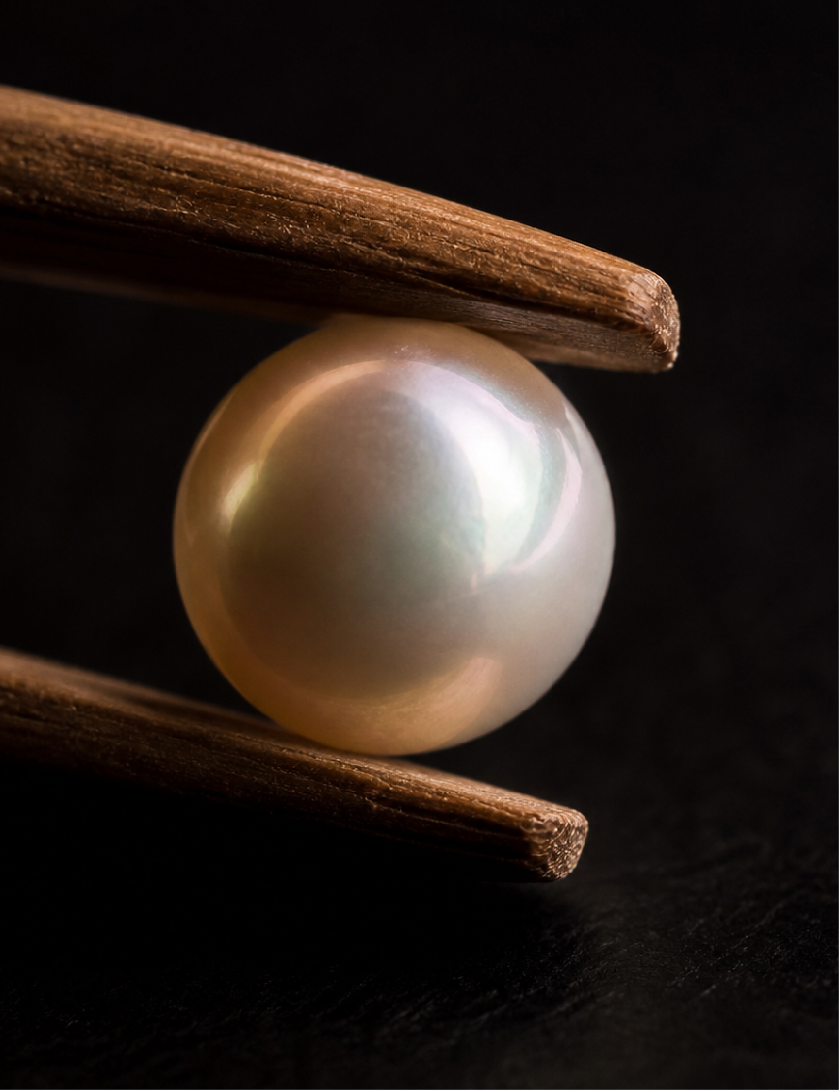 Japanese Akoya Pearls